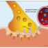 Anesthetics & Neuromuscular Blocking